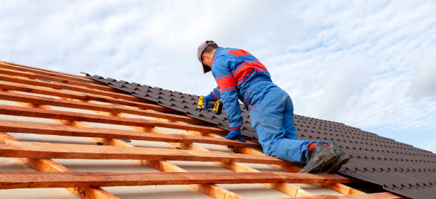 Best Roof Moss and Algae Removal  in Greenland, AR