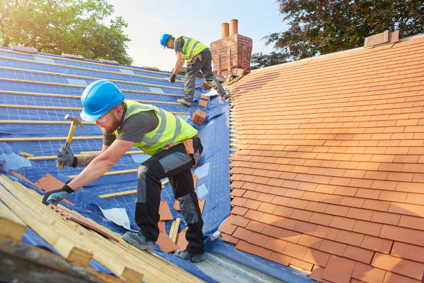 Best Metal Roofing Installation  in Greenland, AR